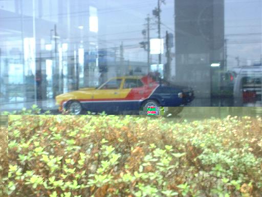 �V���[���[�����ɂǁ[��ƁI�@�ڗ��I