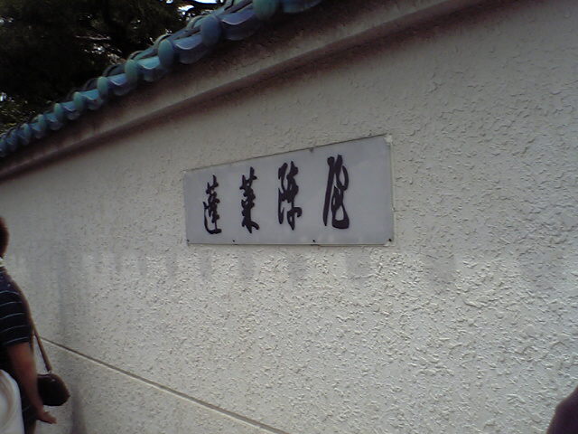 ˩�鸮
