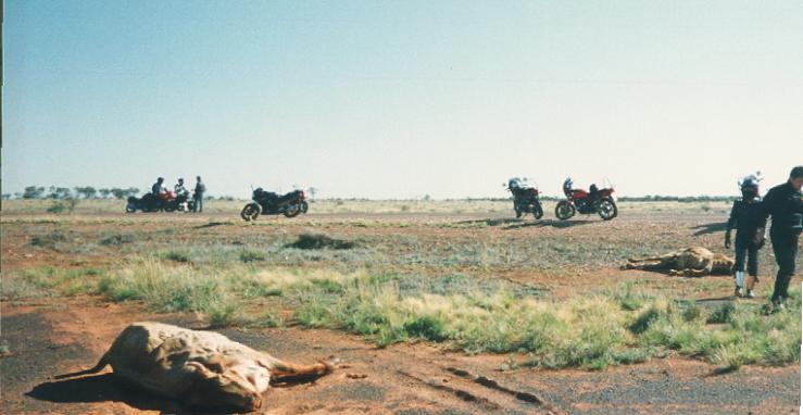 ���ꂪ�I�[�X�g�����A�̍r�삾